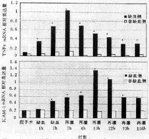 ϸ����ճ������1�������������Ӧ�ת¼ˮƽ��ȱѪ�ٹ�ע������Ƥ���б���������