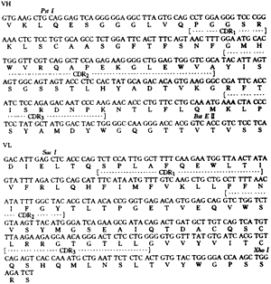 ����������SZ-38�ɱ�������Ŀ�¡�����з���