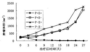 �����廯��������ǰ���ٰ�������ֲ��