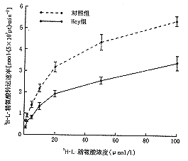 ͬ�Ͱ��װ����������ѪС��L-������/һ������;����Ӱ��