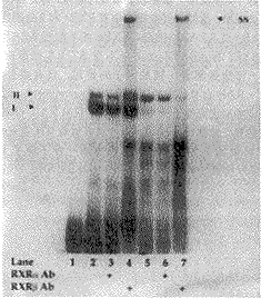 ά����X������ά���ᷴӦԪ����<sub>2</sub>RARE��ϵ��о�