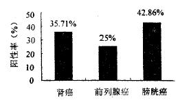 ����ϸ���ڹ����в�ɢ���Զ���΢ͼ���о�
