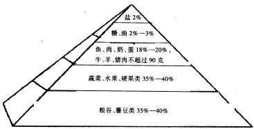 ��͸���������Ҫ