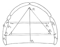 <doctitle>΢������������������ȫ����ݾ��ȱ仯</doctitle>