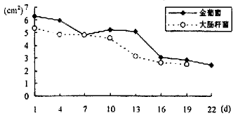 ��ҩ�ǻ��������������������ʵ��