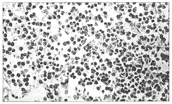 ȫ�᳦Ϣ��״��ϸ�����ܰ�����1��