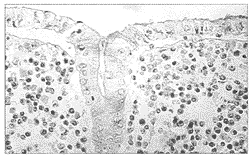 ȫ�᳦Ϣ��״��ϸ�����ܰ�����1��