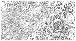 ԭ�����ݸ����������1�����漰���׸�ϰ��