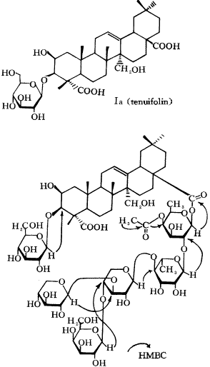 Triterpenoid Saponins from Yellowflower Milkwort Root (Polygala arillata)