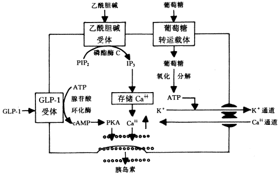 ������������-1���о���չ