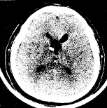 Ӧ�����ڿ�����������������