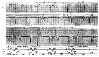 �����Է����粫�����ɰ齻����˫����֧����һ��