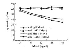 �����ϸ����ϸ������������