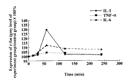 IL-6IL-1¡TNF̥ϸc-fosc-junı