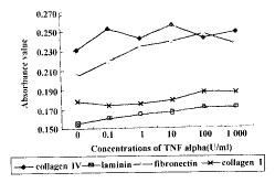 �����������ӶԾ�״����Ƥϸ����ճ����������