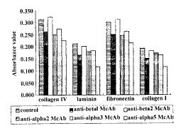 �����������ӶԾ�״����Ƥϸ����ճ����������
