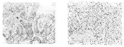 ��CD<sub>34</sub>����¡������Ѫ�������ڷ�Сϸ���ΰ��еı���