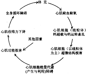 ���临���˵��о���չ