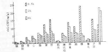 <sup>125</sup> I���rhG-CSF�����������ʵ���о�