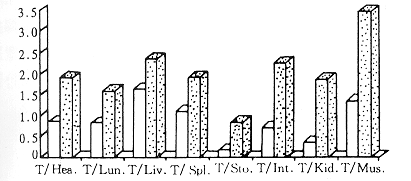 <sup>131</sup>I-��ճ�����ĵĺϳɼ��ں����ٰ������е�����ͷֲ�
