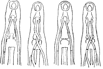 �������޸��¾������������˵ļ����Ľ�