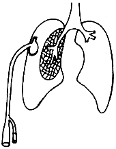 �ô����ҵ��������ǻ��ʽ��������