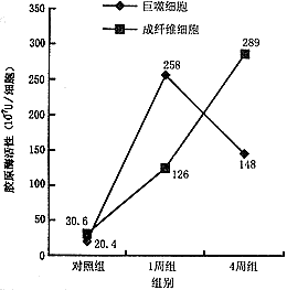 �μ�����ά���������֯���ʽ�������ø�Ķ�̬�ı�