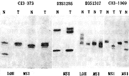 �ΰ���֯��΢����DNA�ĸı�
