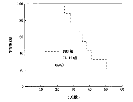 ��ϸ������12����С��Th1/Th2�Ŀ���˷�֧�˾���Ⱦ�о�