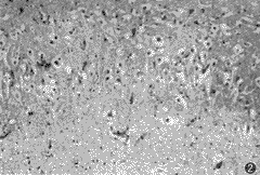 Ӫ������������ͷ����񾭲����о����ٴ��۲�