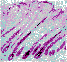 �Ը��������շ���λ���������ٴ�Ӧ���о�