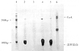 �����˵��¶Ⱦ����񶯾��������