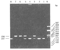Ӧ��������ø�׷��������ټ��Wilson������ͻ���ȵ�