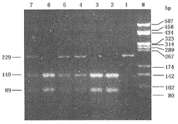 Ӧ��������ø�׷��������ټ��Wilson������ͻ���ȵ�