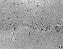 �µ����������յ�������Ԫ�������ʺ��صı�������