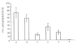 ��֢����������Ƭ��P10���˼����������֯�еı���