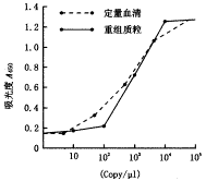 ø���ӽ�������������͸��ײ���DNA�ľۺ�ø����Ӧ����
