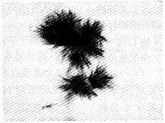 ��ɫ�з��߾���ת���Զ෢ŧ��