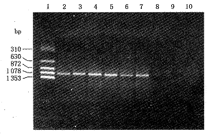 ������TEM��-������ø��⼰����