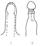 С�������������뻷����������Ƚ�