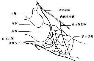 ������ǰѪ��Ϊ�ٵ��۹ǰ���λ��