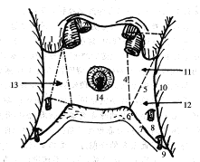 ������ϱڵ���΢��ƽ���ѧ�о�