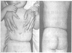 ��������������������һ��