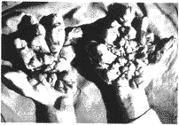 ��״��Ƥ���������ϲ��������Žǻ�һ��