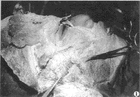 �ִ��沿�����������񾭽���ѧ�о�