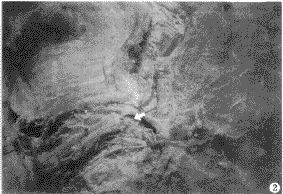 �ִ��沿�����������񾭽���ѧ�о�