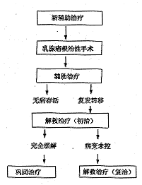 ���ٰ��ڷ������Ƶ���״��Ӧ�ò���
