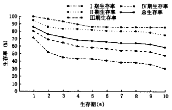 �����ٴ�����309������