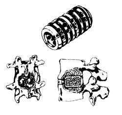 14-1.gif (15921 bytes)