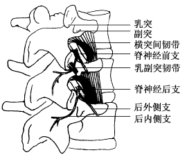 ����������ʹ����Ҫԭ�򩤩����񾭺�֧�ۺ���